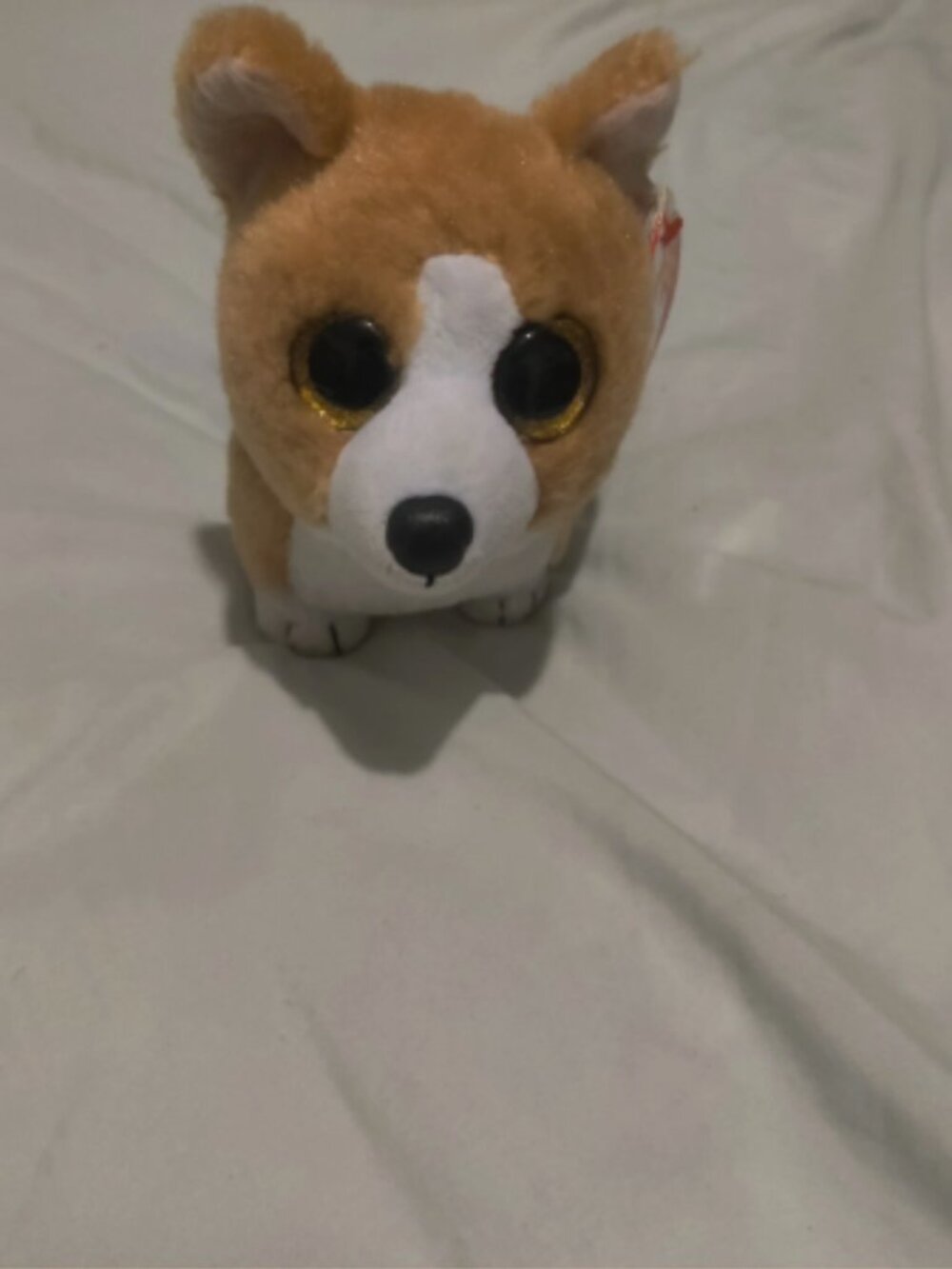 Ty Beanie Baby COLIN the Pembroke Welsh Corgi Dog 6" NEW MWMTs Plush Stuffed Toy